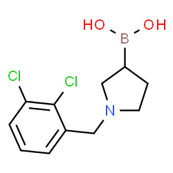 ChemSpider 2D Image | [1-(2,3-Dichlorobenzyl)-3-pyrrolidinyl]boronic acid | C11H14BCl2NO2
