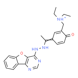 ChemSpider 2D Image | N-[(3-{1-[2-([1]Benzofuro[3,2-d]pyrimidin-4-yl)hydrazino]ethylidene}-6-oxo-1,4-cyclohexadien-1-yl)methyl]-N-ethylethanaminium | C23H26N5O2