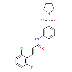 ChemSpider 2D Image | (2E)-3-(2-Chloro-6-fluorophenyl)-N-[3-(1-pyrrolidinylsulfonyl)phenyl]acrylamide | C19H18ClFN2O3S