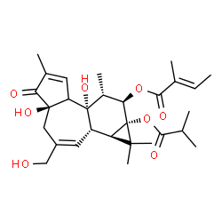 ChemSpider 2D Image | (1aR,1bS,4aR,7bS,8R,9R,9aS)-4a,7b-Dihydroxy-3-(hydroxymethyl)-9a-(isobutyryloxy)-1,1,6,8-tetramethyl-5-oxo-1a,1b,4,4a,5,7a,7b,8,9,9a-decahydro-1H-cyclopropa[3,4]benzo[1,2-e]azulen-9-yl (2E)-2-methyl-2
-butenoate | C29H40O8