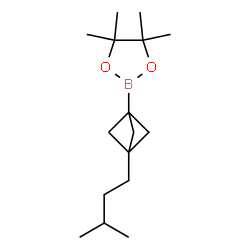 ChemSpider 2D Image | 4,4,5,5-Tetramethyl-2-[3-(3-methylbutyl)bicyclo[1.1.1]pent-1-yl]-1,3,2-dioxaborolane | C16H29BO2