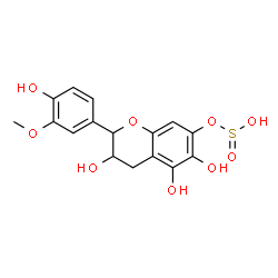 ChemSpider 2D Image | 3,5,6-Trihydroxy-2-(4-hydroxy-3-methoxyphenyl)-3,4-dihydro-2H-chromen-7-yl hydrogen sulfite | C16H16O9S