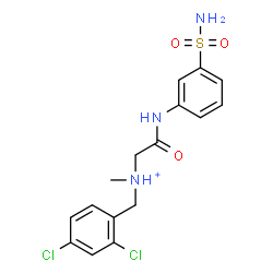 ChemSpider 2D Image | N-(2,4-Dichlorobenzyl)-N-methyl-2-oxo-2-[(3-sulfamoylphenyl)amino]ethanaminium | C16H18Cl2N3O3S