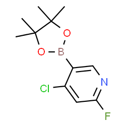 ChemSpider 2D Image | 4-Chloro-2-fluoro-5-(4,4,5,5-tetramethyl-1,3,2-dioxaborolan-2-yl)pyridine | C11H14BClFNO2