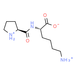 ChemSpider 2D Image | (2S)-6-Ammonio-2-{[(2S)-2-pyrrolidiniumylcarbonyl]amino}hexanoate | C11H22N3O3