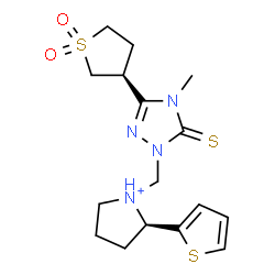 ChemSpider 2D Image | (2R)-1-({3-[(3S)-1,1-Dioxidotetrahydro-3-thiophenyl]-4-methyl-5-thioxo-4,5-dihydro-1H-1,2,4-triazol-1-yl}methyl)-2-(2-thienyl)pyrrolidinium | C16H23N4O2S3