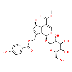 ChemSpider 2D Image | Methyl (1S,4aS,5R,7aS)-1-(beta-D-glucopyranosyloxy)-5-hydroxy-7-{[(4-hydroxybenzoyl)oxy]methyl}-1,4a,5,7a-tetrahydrocyclopenta[c]pyran-4-carboxylate | C24H28O13
