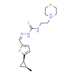 ChemSpider 2D Image | 4-[2-({[(2Z)-2-({5-[(1R,2S)-2-Methylcyclopropyl]-2-furyl}methylene)hydrazino]carbonothioyl}amino)ethyl]morpholin-4-ium | C16H25N4O2S
