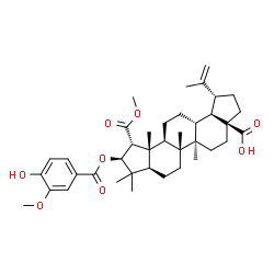 ChemSpider 2D Image | (1R,3aS,5aR,5bR,7aR,9S,10R,10aR,10bR,12aR,12bR)-9-[(4-Hydroxy-3-methoxybenzoyl)oxy]-1-isopropenyl-10-(methoxycarbonyl)-5a,5b,8,8,10a-pentamethyloctadecahydrodicyclopenta[a,i]phenanthrene-3a(1H)-carbox
ylic acid | C39H54O8
