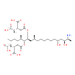 ChemSpider 2D Image | (2S,2'R)-2,2'-{[(5R,6R,7S,9S,16R,18S,19S)-19-Amino-16,18-dihydroxy-5,9-dimethyl-6,7-icosanediyl]bis[oxy(2-oxo-2,1-ethanediyl)]}di(3,4-~13~C_2_)butanedioic acid | C3013C4H59NO14