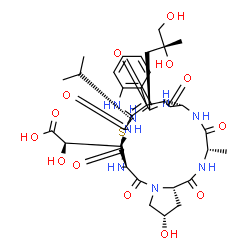 ChemSpider 2D Image | (2R)-[(1S,14R,18S,20S,23S,28S,31S,34R)-28-[(2R)-2,3-Dihydroxy-2-methylpropyl]-18-hydroxy-31-isopropyl-23-methyl-15,21,24,26,29,32,35-heptaoxo-12-thia-10,16,22,25,27,30,33,36-octaazapentacyclo[12.11.11
.0~3,11~.0~4,9~.0~16,20~]hexatriaconta-3(11),4,6,8-tetraen-34-yl](hydroxy)acetic acid | C37H50N8O13S