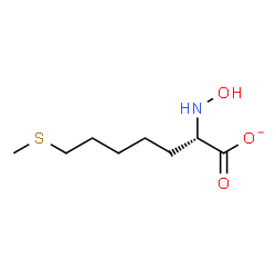 ChemSpider 2D Image | (2S)-2-(Hydroxyamino)-7-(methylsulfanyl)heptanoate | C8H16NO3S