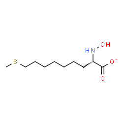 ChemSpider 2D Image | (2S)-2-(Hydroxyamino)-9-(methylsulfanyl)nonanoate | C10H20NO3S