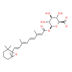 ChemSpider 2D Image | 1-O-[(2E,4E,6E,8E)-3,7-Dimethyl-9-(2,2,6-trimethyl-7-oxabicyclo[4.1.0]hept-1-yl)-2,4,6,8-nonatetraenoyl]-beta-D-glucopyranuronatato(2-) | C26H35O9