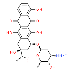 ChemSpider 2D Image | (1S,3S)-3,5,10,12-Tetrahydroxy-3-[(1R)-1-hydroxyethyl]-6,11-dioxo-1,2,3,4,6,11-hexahydro-1-tetracenyl 3-ammonio-2,3,6-trideoxy-alpha-L-lyxo-hexopyranoside | C26H30NO10