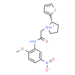 ChemSpider 2D Image | (2S)-1-{2-[(2-Methoxy-5-nitrophenyl)amino]-2-oxoethyl}-2-(2-thienyl)pyrrolidinium | C17H20N3O4S