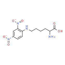 ChemSpider 2D Image | N(6)-(2,4-dinitrophenyl)lysine | C12H16N4O6