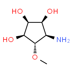 ChemSpider 2D Image | (1S,2S,3S,4R,5S)-4-Amino-5-methoxy-1,2,3-cyclopentanetriol | C6H13NO4