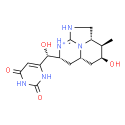 ChemSpider 2D Image | (2aS,3R,4S,5aS,7R)-7-[(R)-(2,6-Dioxo-1,2,3,6-tetrahydro-4-pyrimidinyl)(hydroxy)methyl]-4-hydroxy-3-methyl-2,2a,3,4,5,5a,6,7-octahydro-1H-1,8b-diaza-8-azoniaacenaphthylene | C15H22N5O4