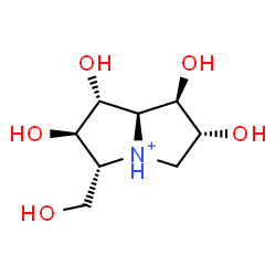 ChemSpider 2D Image | (1R,2R,3R,6R,7R,7aR)-1,2,6,7-Tetrahydroxy-3-(hydroxymethyl)hexahydro-1H-pyrrolizinium | C8H16NO5