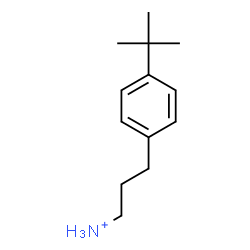 ChemSpider 2D Image | 3-[4-(2-Methyl-2-propanyl)phenyl]-1-propanaminium | C13H22N