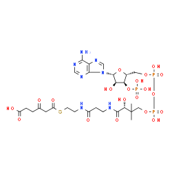 ChemSpider 2D Image | 3-Oxoadipyl-CoA | C27H42N7O20P3S