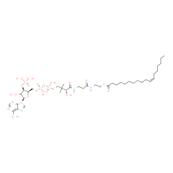 ChemSpider 2D Image | S-{(9R)-1-[(2R,3R,5R)-5-(6-Amino-9H-purin-9-yl)-4-hydroxy-3-(phosphonooxy)tetrahydro-2-furanyl]-3,5,9-trihydroxy-8,8-dimethyl-3,5-dioxido-10,14-dioxo-2,4,6-trioxa-11,15-diaza-3lambda~5~,5lambda~5~-dip
hosphaheptadecan-17-yl} (11Z)-11-octadecenethioate | C39H68N7O17P3S