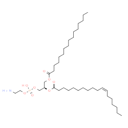 ChemSpider 2D Image | 1-hexadecanoyl-2-(11Z-octadecenoyl)-sn-glycero-3-phosphoethanolamine | C39H76NO8P