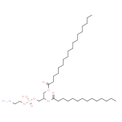 ChemSpider 2D Image | 3-{[(2-Aminoethoxy)(hydroxy)phosphoryl]oxy}-2-(tetradecanoyloxy)propyl stearate | C37H74NO8P