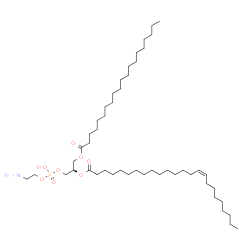 ChemSpider 2D Image | (23R)-29-Amino-26-hydroxy-26-oxido-20-oxo-21,25,27-trioxa-26lambda~5~-phosphanonacosan-23-yl (15Z)-15-tetracosenoate | C49H96NO8P