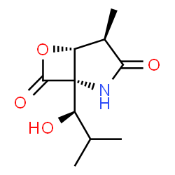 ChemSpider 2D Image | (1S,4R,5R)-1-[(1R)-1-Hydroxy-2-methylpropyl]-4-methyl-6-oxa-2-azabicyclo[3.2.0]heptane-3,7-dione | C10H15NO4