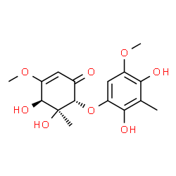 ChemSpider 2D Image | (4R,5S,6R)-6-(2,4-Dihydroxy-5-methoxy-3-methylphenoxy)-4,5-dihydroxy-3-methoxy-5-methyl-2-cyclohexen-1-one | C16H20O8
