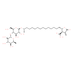 ChemSpider 2D Image | (2S,3R)-2-[(14S)-14-{[4-O-(6-Deoxy-alpha-L-idopyranosyl)-beta-D-glucopyranosyl]oxy}pentadecyl]-4-methylene-5-oxotetrahydro-3-furancarboxylic acid | C33H56O14