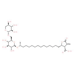 ChemSpider 2D Image | (2S,3S)-4-Methylene-5-oxo-2-[(14R)-14-{[6-O-(beta-D-xylopyranosyl)-beta-D-glucopyranosyl]oxy}pentadecyl]tetrahydro-3-furancarboxylic acid | C32H54O14