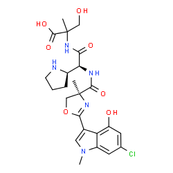 ChemSpider 2D Image | N-{(2S)-2-({[(4S)-2-(6-Chloro-4-hydroxy-1-methyl-1H-indol-3-yl)-4-methyl-4,5-dihydro-1,3-oxazol-4-yl]carbonyl}amino)-2-[(2R)-2-pyrrolidinyl]acetyl}-2-methylserine | C24H30ClN5O7