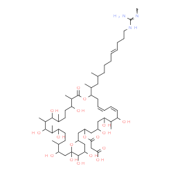 ChemSpider 2D Image | 3-Oxo-3-({(10Z,12Z)-5,7,9,19,23,25,27,31,33,34,35-undecahydroxy-8,18,22,24,26,30-hexamethyl-15-[(8E)-4-methyl-12-(N''-methylcarbamimidamido)-8-dodecen-2-yl]-17-oxo-16,37-dioxabicyclo[31.3.1]heptatriac
onta-10,12-dien-3-yl}oxy)propanoic acid | C59H105N3O18