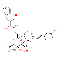 ChemSpider 2D Image | (1S,3S,4S,5R,6R,7R)-1-(5-Benzyl-4,6-dihydroxy-3-methylenehexyl)-6-{[(2E,4E)-4,6-dimethyl-2,4-octadienoyl]oxy}-4,7-dihydroxy-2,8-dioxabicyclo[3.2.1]octane-3,4,5-tricarboxylic acid (non-preferred name) | C33H42O14
