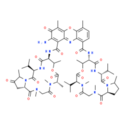 ChemSpider 2D Image | 2-Amino-N~9~-[(6S,10S,13R,18aS)-6,13-diisopropyl-2,5,9,16-tetramethyl-1,4,7,11,14-pentaoxohexadecahydro-1H-pyrrolo[2,1-i][1,4,7,10,13]oxatetraazacyclohexadecin-10-yl]-N~1~-[(6S,10S,13R,18aS)-13-isopro
pyl-2,5,6,9,16-pentamethyl-1,4,7,11,14,17-hexaoxohexadecahydro-1H-pyrrolo[2,1-i][1,4,7,10,13]oxatetraazacyclohexadecin-10-yl]-4,6-dimethyl-3-oxo-3H-phenoxazine-1,9-dicarboxamide | C62H84N12O17