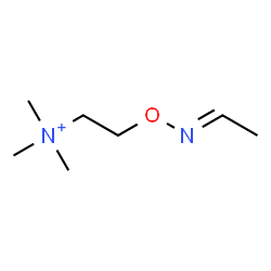 ChemSpider 2D Image | 2-{[(E)-Ethylideneamino]oxy}-N,N,N-trimethylethanaminium | C7H17N2O