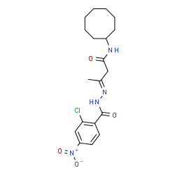 ChemSpider 2D Image | (3E)-3-[(2-Chloro-4-nitrobenzoyl)hydrazono]-N-cyclooctylbutanamide | C19H25ClN4O4