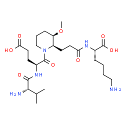 ChemSpider 2D Image | N~2~-{3-[(2R,3R)-3-Methoxy-1-(L-valyl-L-alpha-glutamyl)-2-piperidinyl]propanoyl}-L-lysine | C25H45N5O8