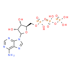 ChemSpider 2D Image | 9-{5-O-[Hydroxy({hydroxy[(~32~P)phosphonooxy](~32~P)phosphoryl}oxy)(~32~P)phosphoryl]-D-ribofuranosyl}-9H-purin-6-amine | C10H16N5O1332P3