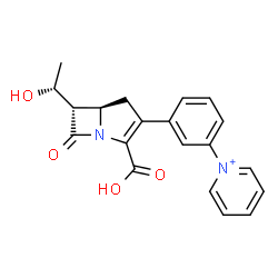ChemSpider 2D Image | 1-(3-{(5R,6S)-2-Carboxy-6-[(1R)-1-hydroxyethyl]-7-oxo-1-azabicyclo[3.2.0]hept-2-en-3-yl}phenyl)pyridinium | C20H19N2O4