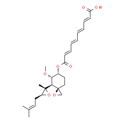 ChemSpider 2D Image | (2E,4E,6E,8E)-10-({(3R,4S,5S,6R)-5-Methoxy-4-[(2S,3S)-2-methyl-3-(3-methyl-2-buten-1-yl)-2-oxiranyl]-1-oxaspiro[2.5]oct-6-yl}oxy)-10-oxo-2,4,6,8-decatetraenoic acid | C26H34O7
