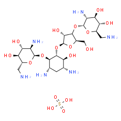 ChemSpider 2D Image | (1R,2R,3S,4R,6S)-4,6-Diamino-2-{[(3xi)-3-O-(2,6-diamino-2,6-dideoxy-alpha-D-glucopyranosyl)-beta-D-erythro-pentofuranosyl]oxy}-3-hydroxycyclohexyl 2,6-diamino-2,6-dideoxy-alpha-D-glucopyranoside sulfa
te (1:1) | C23H48N6O17S