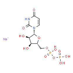 ChemSpider 2D Image | Uridine, 5'-(trihydrogen diphosphate), sodium salt (1:1) | C9H14N2NaO12P2
