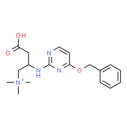 ChemSpider 2D Image | 2-{[4-(Benzyloxy)-2-pyrimidinyl]amino}-3-carboxy-N,N,N-trimethyl-1-propanaminium | C18H25N4O3