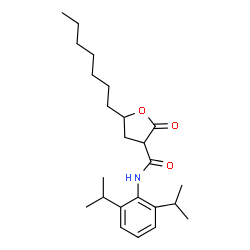 ChemSpider 2D Image | N-(2,6-Diisopropylphenyl)-5-heptyl-2-oxotetrahydro-3-furancarboxamide | C24H37NO3