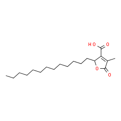 ChemSpider 2D Image | 4-Methyl-5-oxo-2-tridecyl-2,5-dihydro-3-furancarboxylic acid | C19H32O4