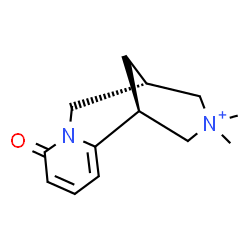 ChemSpider 2D Image | (1S,9S)-11,11-Dimethyl-6-oxo-7-aza-11-azoniatricyclo[7.3.1.0~2,7~]trideca-2,4-diene | C13H19N2O